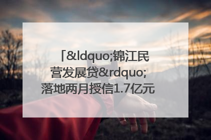 “锦江民营发展贷”落地两月授信1.7亿元，惠及118家民企